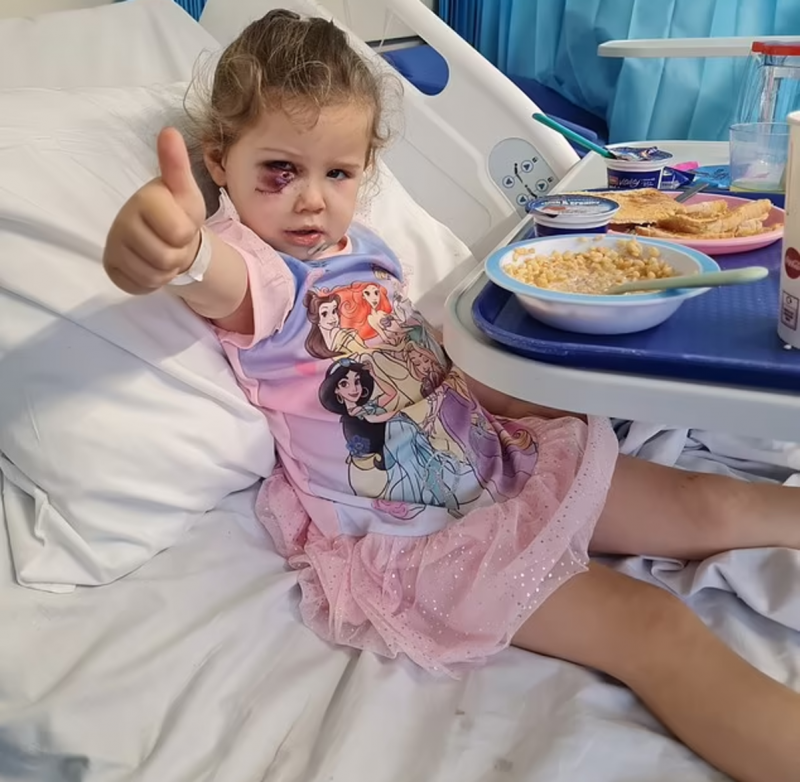 elouise recuperada após ataque de cachorro