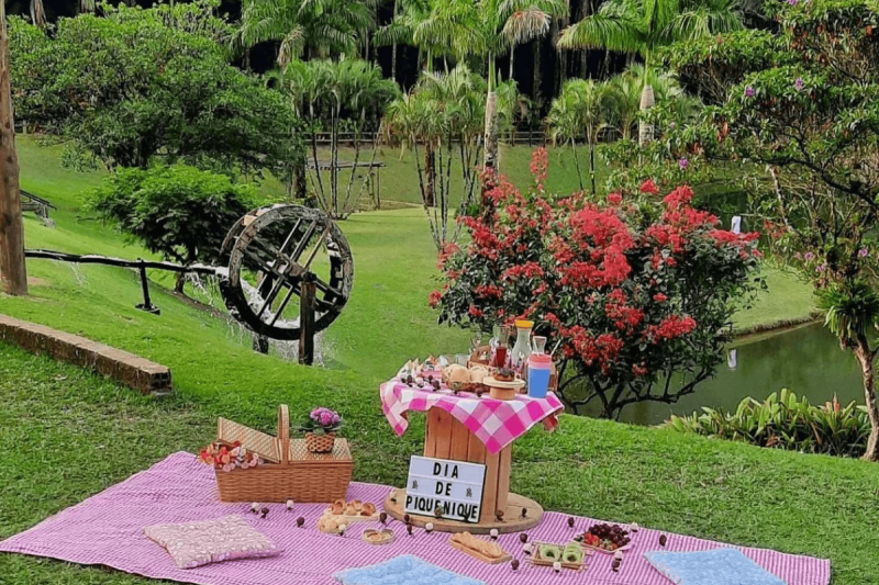 Foto do parque Recanto Diamante, na Estrada Bonita. Na parte inferior da foto, aparece uma toalha xadrez rosa estendida em um amplo gramado. Em cima dela algumas almofadas, uma cesta de vime e uma mesinha de madeira onde estão alguns alimentos em cima. Apoiado na mesinha, uma placa onde está escrito: Dia de Piquenique. Atrás aparece uma pequena roda d'água, uma pequena árvore com flores avermelhadas, parte de um lago e outras árvores mais ao fundo. 