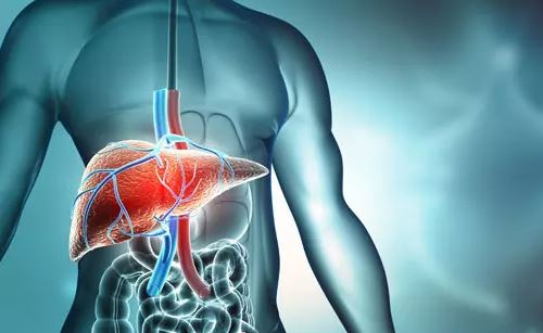 Para prevenir problemas hep&aacute;ticos, o recomend&aacute;vel &eacute; seguir orienta&ccedil;&otilde;es m&eacute;dicas quanto ao uso de medicamentos e manter um peso adequado – Foto: Reprodu&ccedil;&atilde;o/ND