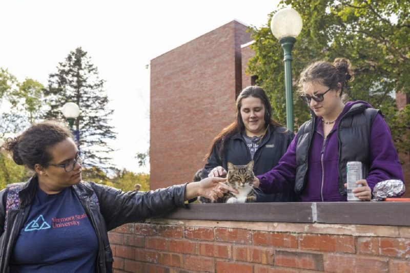 Gato recebe título de doutor após frequentar campus de universidade