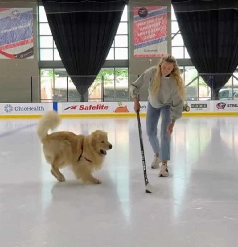 Golden Retriever e tutora brincando juntos