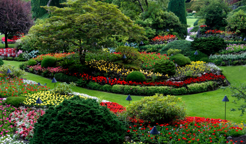 Jardim projetado por paisagista, com grama, arbustos e flores de diferentes cores