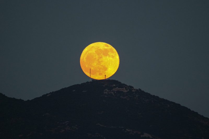 Lua sob vegetação