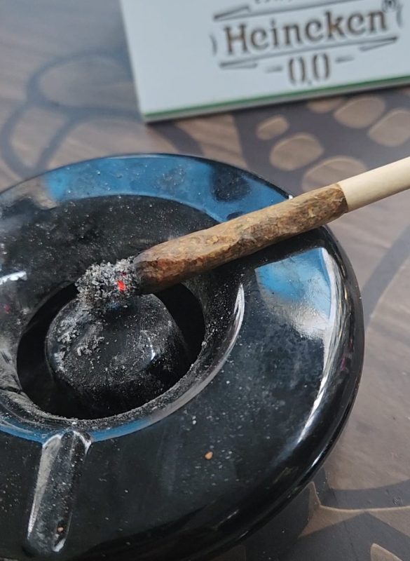 Mesmo STF liberando deputado criciumense Jess&eacute; Lopes quer aprovar projeto em multar maconheiro. – Foto: Divulga&ccedil;&atilde;o/ND