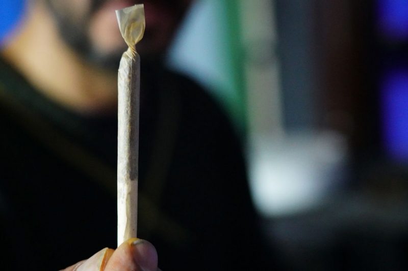 Ministros estabeleceram um limite de 40 gramas de maconha ou seis plantas f&ecirc;meas – Foto: maconha