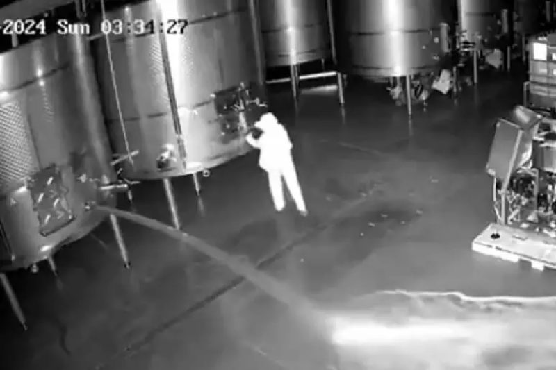na imagem mulher encapuzada invade local e abre barris de vinho