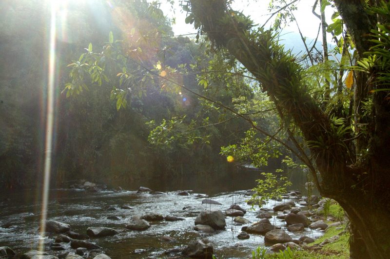 Trilhas em Blumenau: região da Nova Rússia, com trilhas imperdíveis 