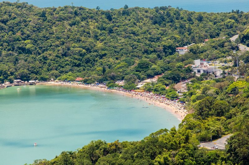 Praias de SC tem pontos próprios para banho - praia com mar azul e árvores ao redor, é a praia de Laranjeiras 