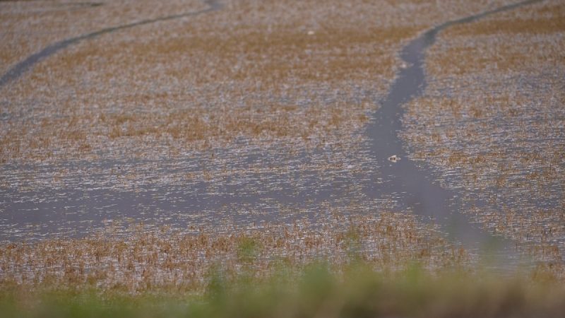 Entidades somam aproximadamente 236.000 hectares prejudicados devido as enchentes em 2023