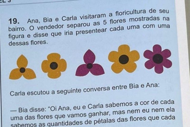 Questão de "qual flor Ana vai ganhar" na 19ª OBMEP