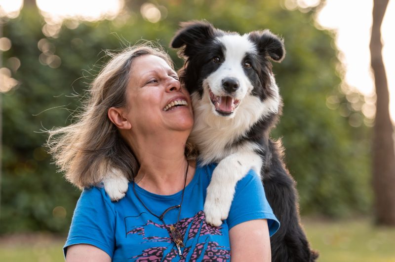 Cachorros mais inteligentes do mundo