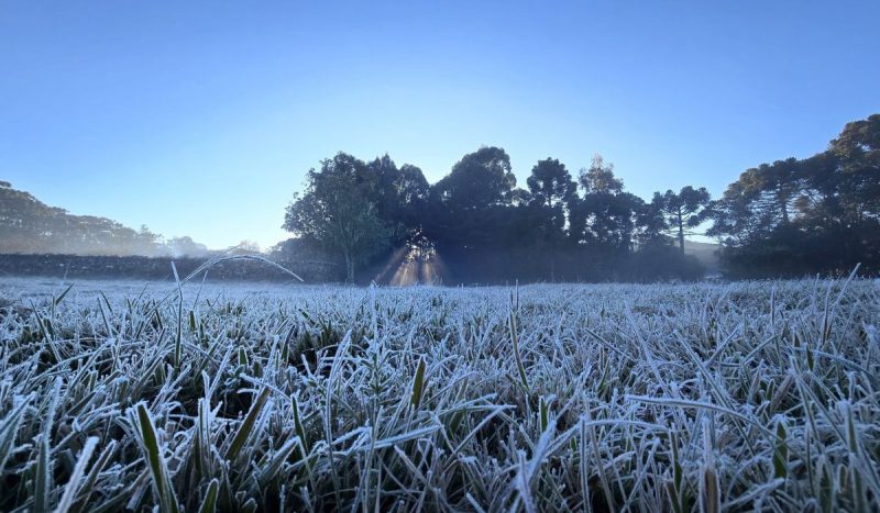 Frio polar pode ocorrer de duas a três vezes este ano em SC