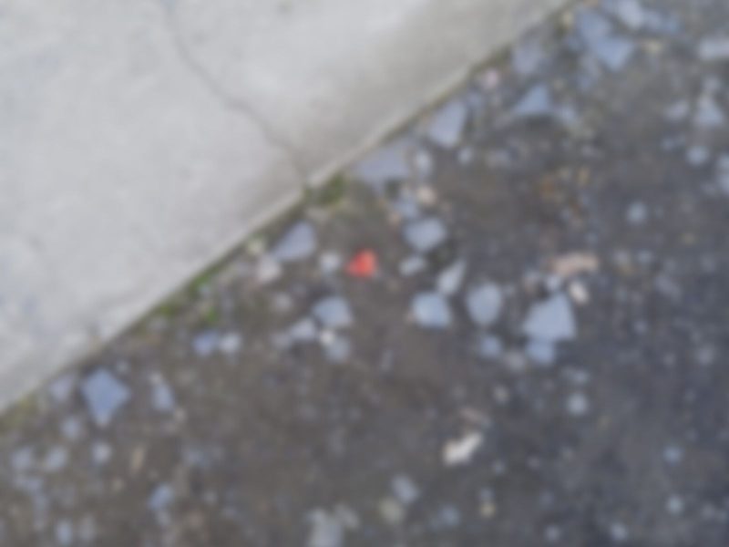 Parte da sobrancelha do homem foi arrancada pelo filho com uma mordida após uma briga 