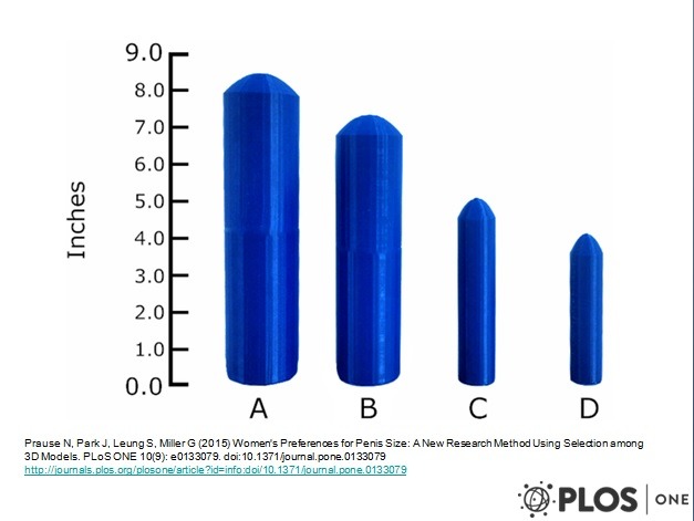 Pesquisa fabricou 33 prot&oacute;tipos para saber tamanho ideal de p&ecirc;nis; gr&aacute;fico mostra tamanho em polegadas – Foto: Reprodu&ccedil;&atilde;o/ND