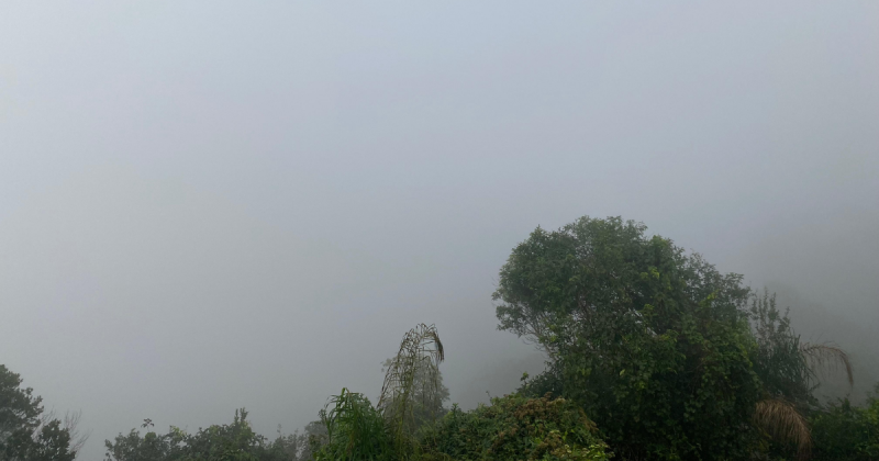 Nevoeiro engole SC na manhã desta quarta-feira 