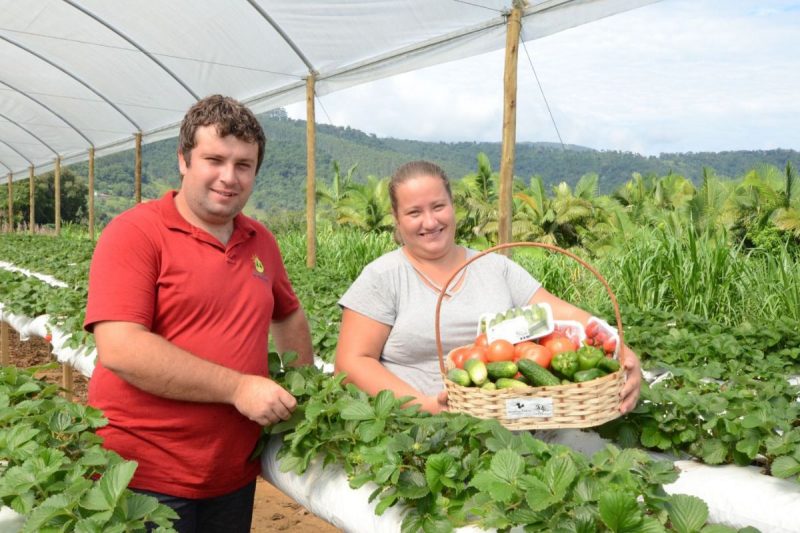 Agricultores familiares mostrando produtos plantados, auxiliados por subsídios do Plano Safra