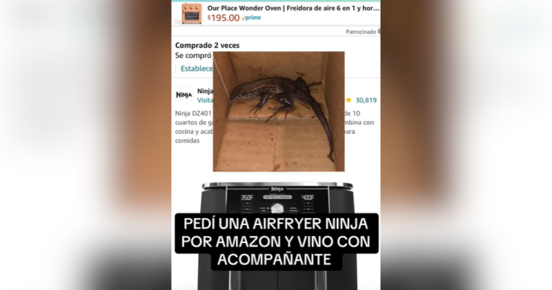 Lagarto e imagem de anúncio de air fryer