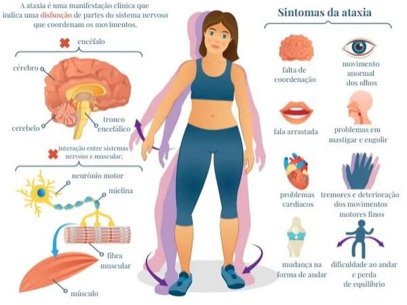 Sintomas da doença da 'morte em vida'