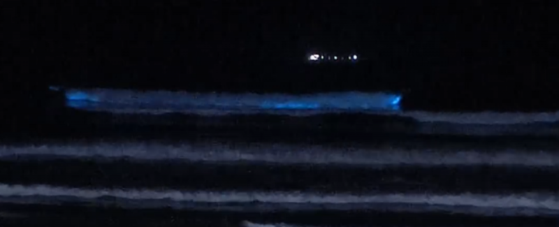 Fenômeno de bioluminescência foi visto em praia de Imbituba e gerou curiosidade nas pessoas - Foto: Reprodução/Instagram