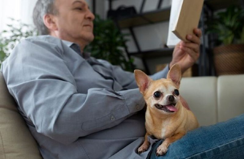 Médico Veterinário explica que os pets são aliados para a convivência de pessoas da terceira idade