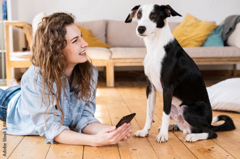 A imagem mostra uma mulher e um cachorro juntos 