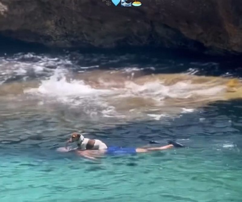 Pet estava utilizando homem como embarcação para navegar sobre o lago