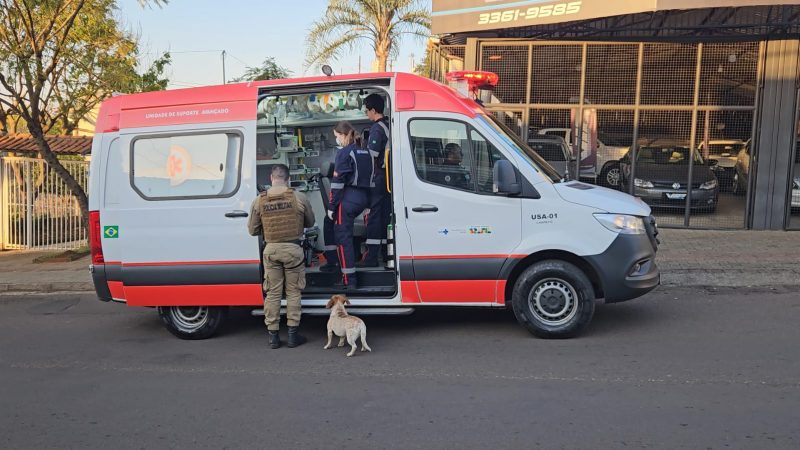Em alguns momentos os cães tentaram entrar na ambulância onde o dono era atendido. - Foto: Marcos Lewe / ND Mais