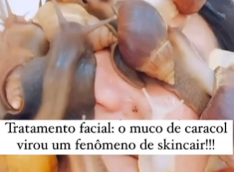 Caramujos na pele