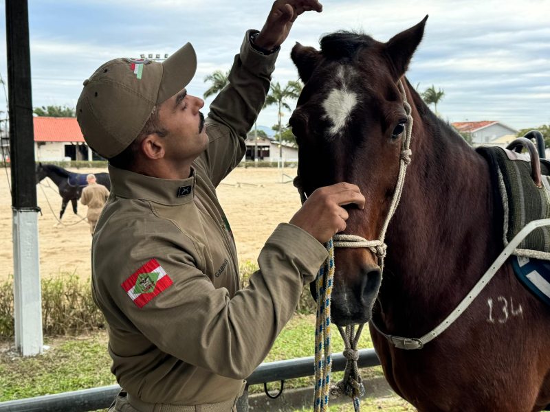 Cavalo Ebreu