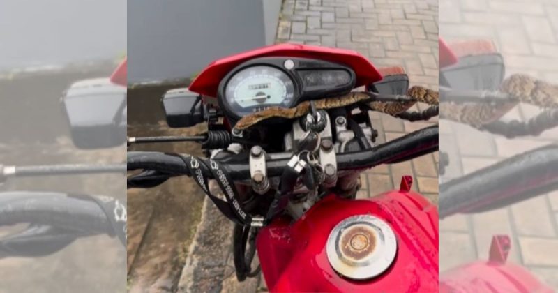 Cobra surge em guidão em SC