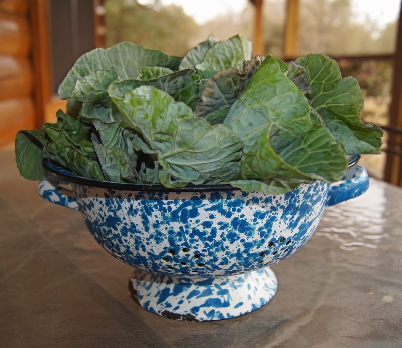 Imagem mostra couve, um dos ingredientes de suco milagroso