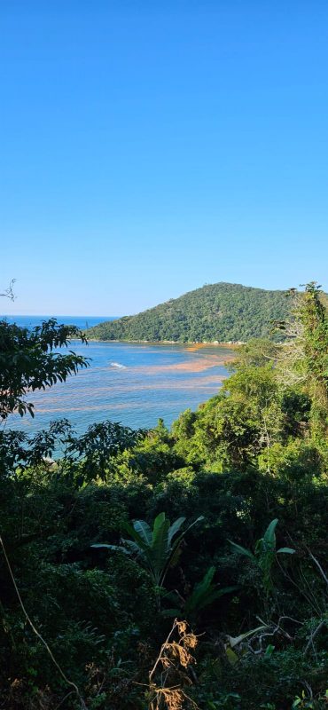 Imagem mostra praia de Itajaí sob efeito do fenômeno Maré Vermelha