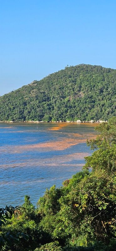 Imagem mostra praia de Itajaí sob efeito do fenômeno Maré Vermelha