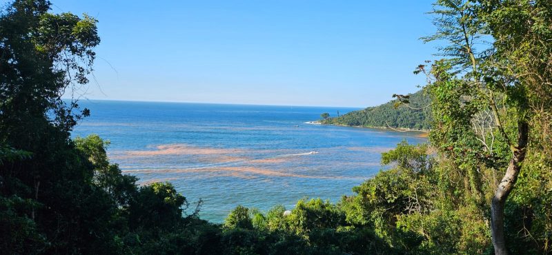 Imagem mostra praia de Itajaí sob efeito do fenômeno Maré Vermelha