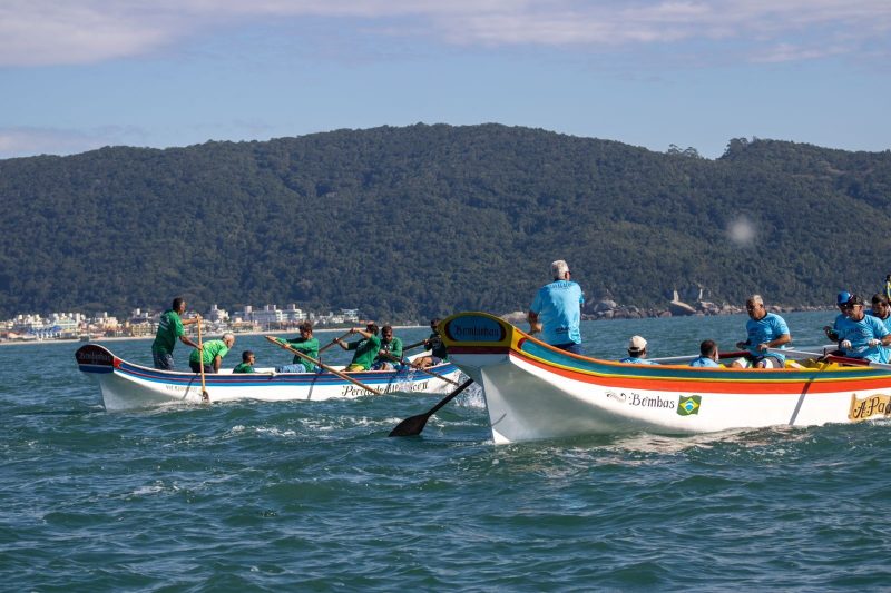 Imagem mostra gincana durante Saragaço em Bombinhas; evento comemora boa safra da pesca tainha em SC