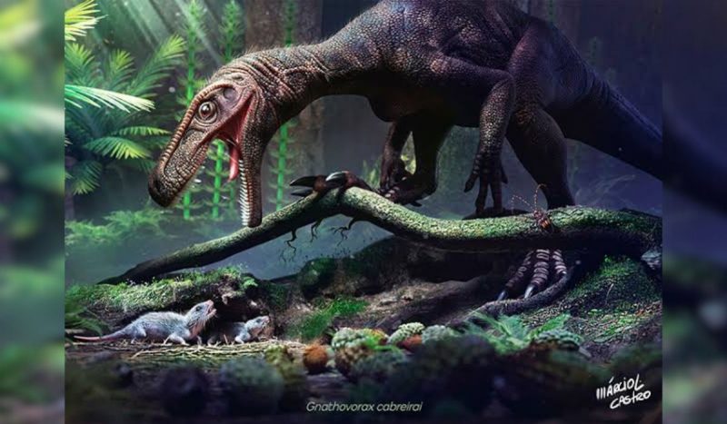 Representa&ccedil;&atilde;o de um dinossauro da esp&eacute;cie Gnathovorax cabreirai – Foto: M&aacute;rcio L. Castro/ Divulga&ccedil;&atilde;o/ ND