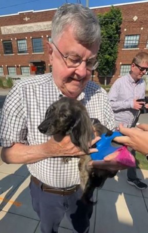 Surpresa emocionante vira vídeo viralizado, onde homem vai em encontro de pets da Dachshund 