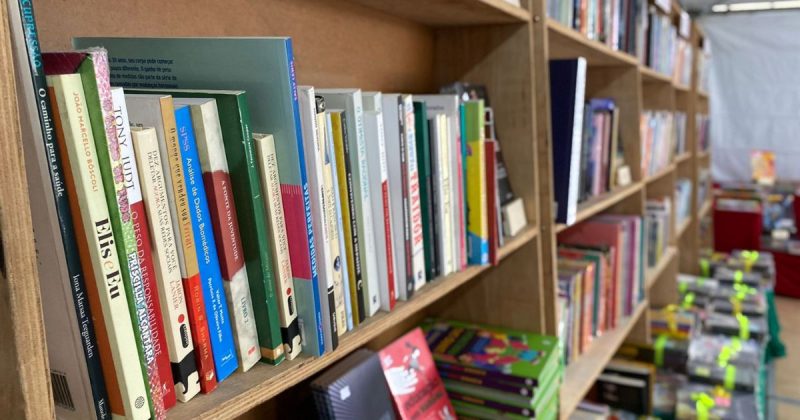 Na foto, estante de madeira com livros enfileirados. Ilustra a informação de que maior percentual de leitores do Brasil está em SC