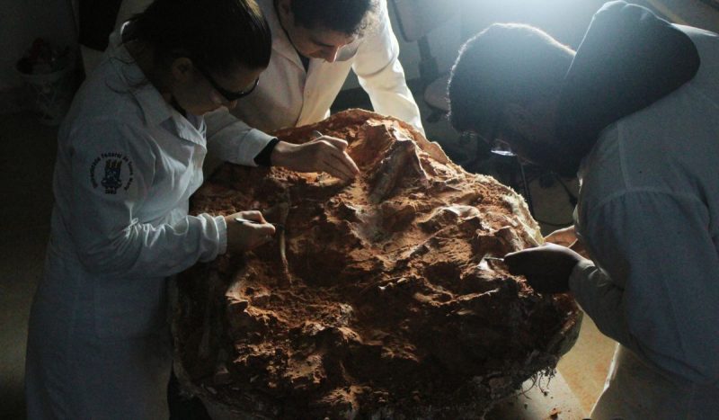 Paleontólogos manipulando com fósseis 