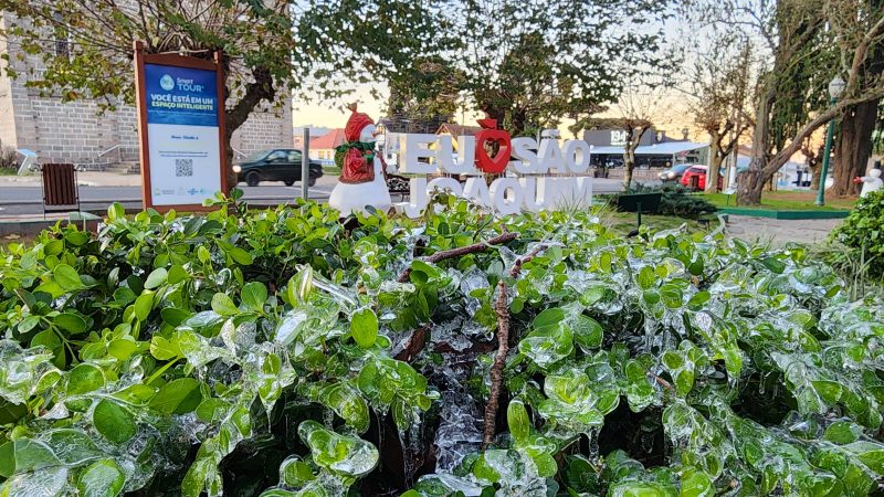 Foto de um arbusto com folhas congeladas na praça central de São Joaquim. Ao fundo há um painel escrito: Eu amo São Joaquim ao lado de um boneco de neve. Atrás deles há árvores e é possível ver parte da parede de pedra da Igreja Matriz. 