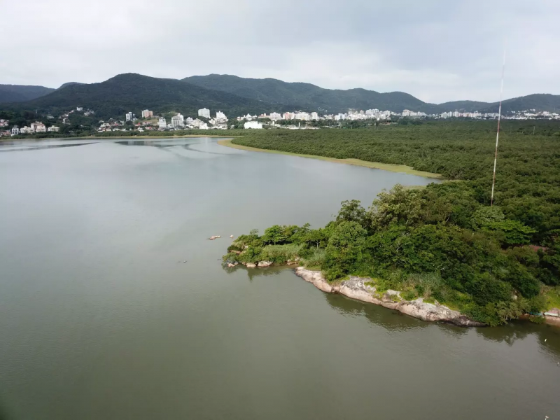 Cercado pela urbanização, Manguezal do Itacorubi de Florianópolis tem planos para se tornar complexo ambiental