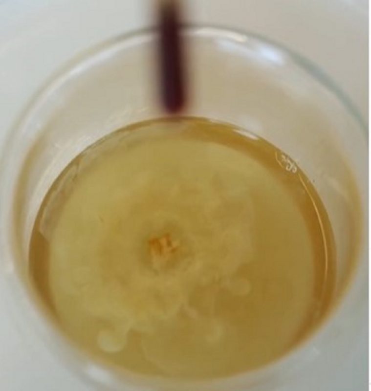 na foto aparece mistura de própolis e vinagre de maça que ajuda a aliviar gases