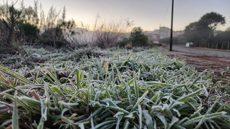 Geadas atingirão os pontos mais altos da Serra catarinense em setembro