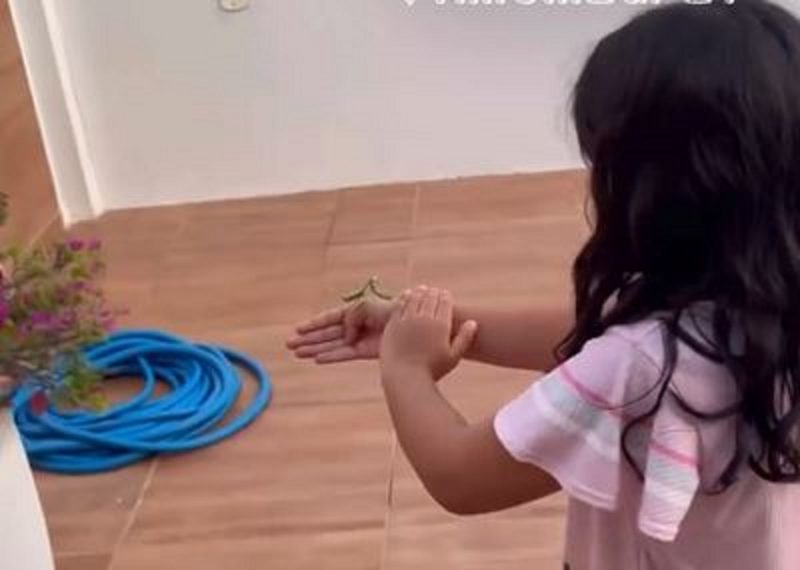 Clara, uma menina de sete anos viralizou após ganhar de inseto na base do berro