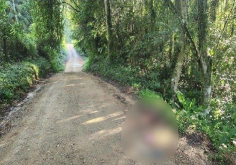 Estrada de chão rodeada por mata onde suspeito de matar teria levado vítima após o crime