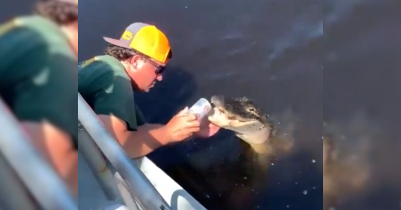 Homem utilizando dentes de jacaré para abrir latinha de cerveja