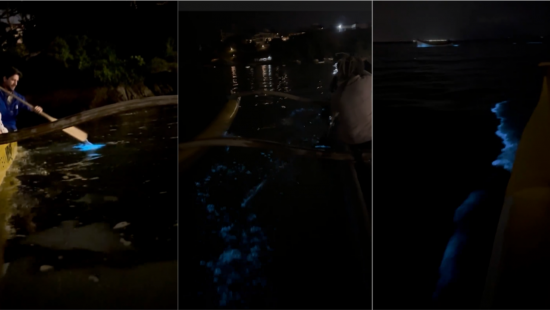 VÍDEO: Fenômeno raro, bioluminescência faz mar &#39;brilhar no escuro&#39; em Florianópolis