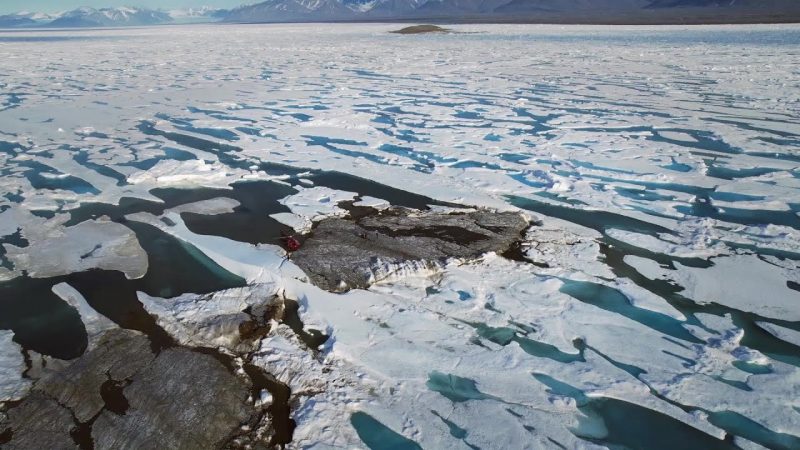 Vírus gigantes desaceleram derretimento do gelo 