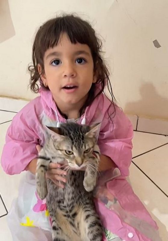 Alice, uma menina de três anos sempre "livra a barra" de Baby, a gata da residência 