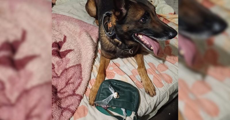 Operação Mundare mirou em grupo acusado de tortura em SC